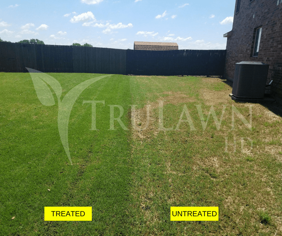 Lawn Fertilization and Weed Control