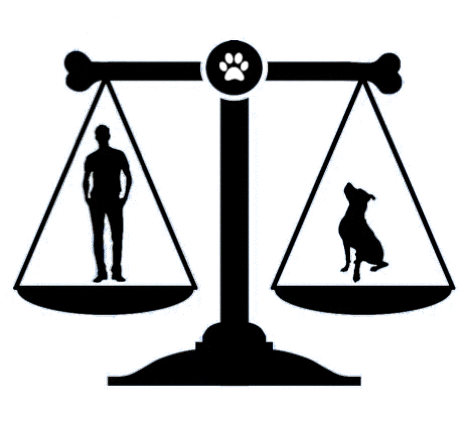 Dog Boarding, Training, Daycare Southern NH Truly Balanced Dog Care