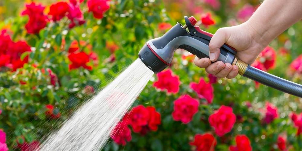 The Ultimate Landscape Watering Guide TruNorth Landscaping