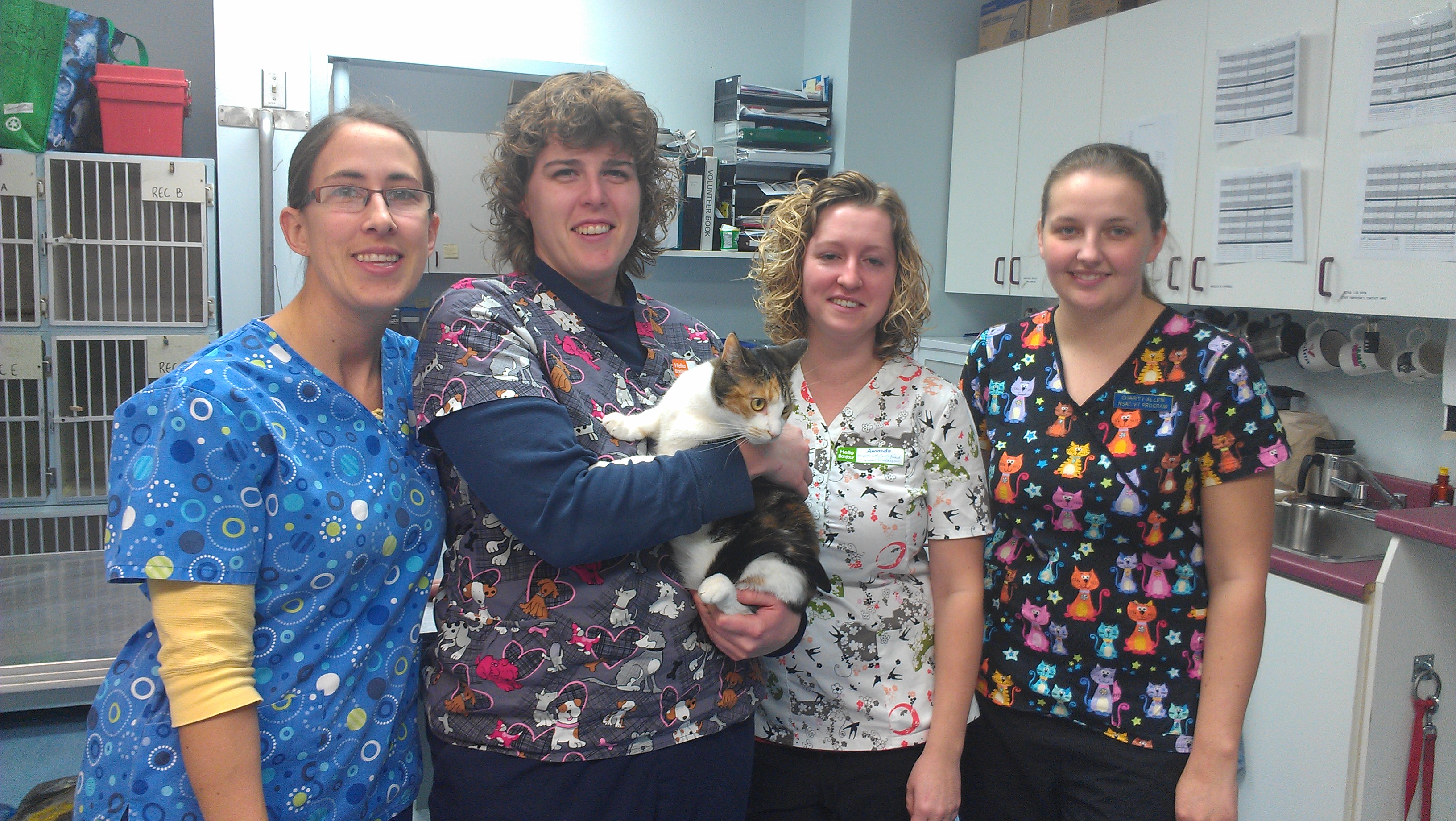 Community Activities Truro Vet Unleashed!