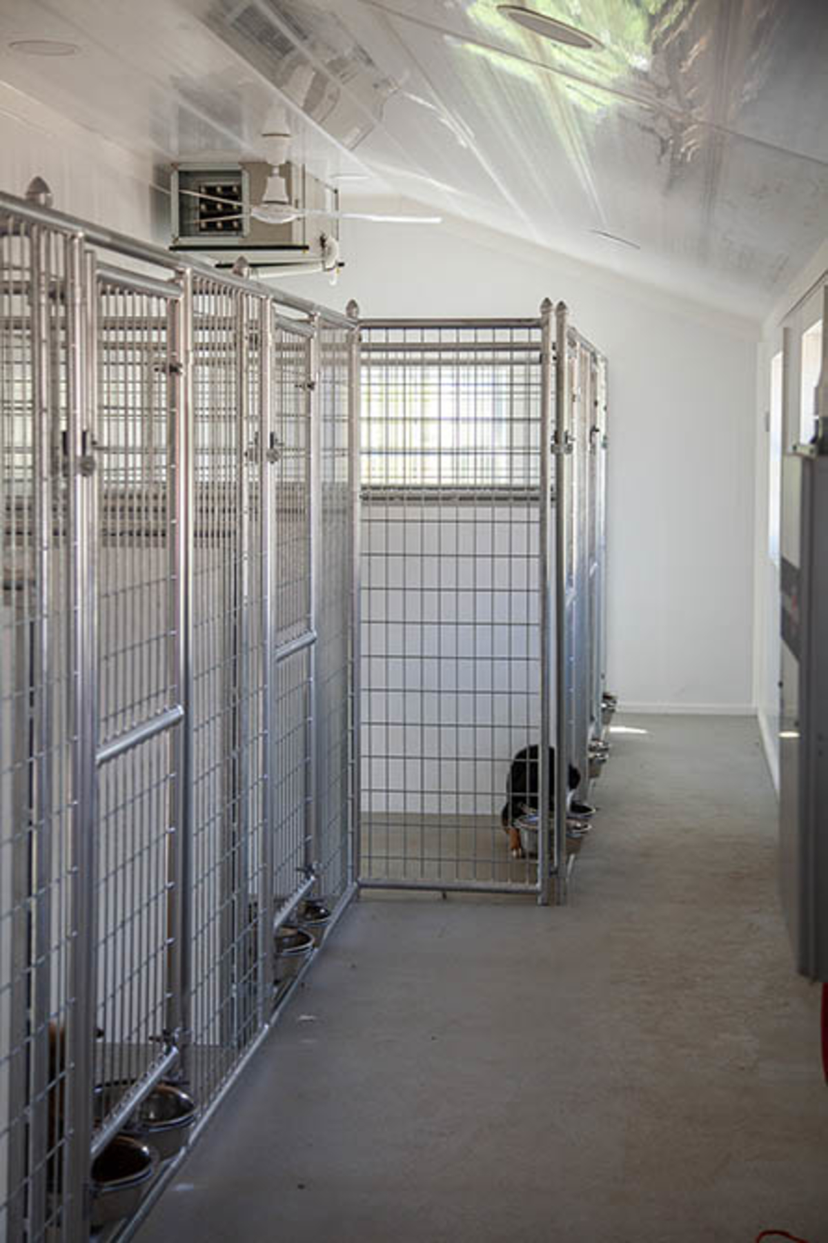 Indoor Kennel Walls & Partitions for Dog Kennels Trusscore