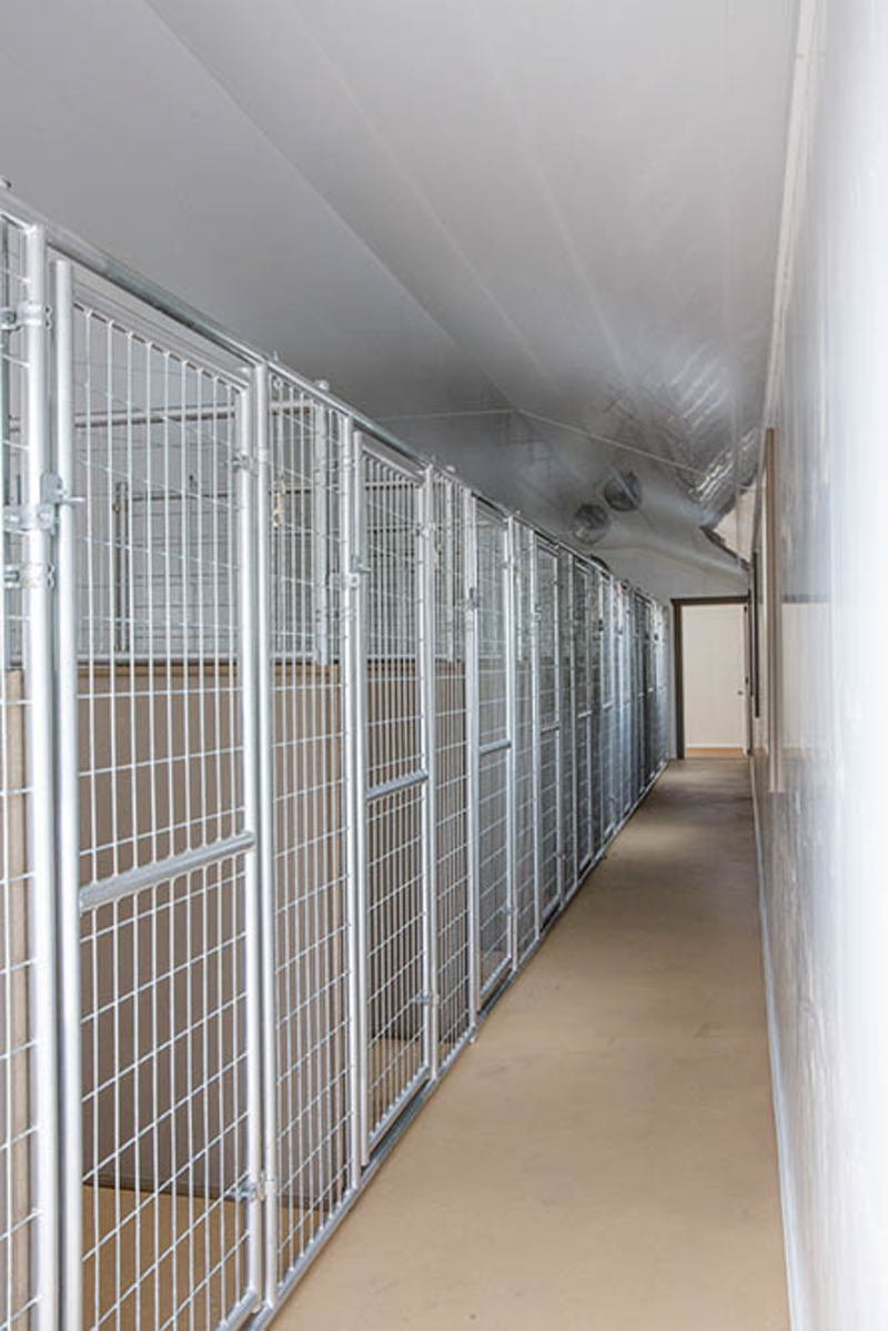 Indoor Kennel Walls & Partitions for Dog Kennels Trusscore