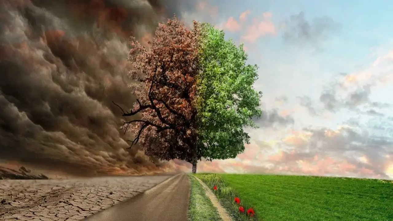 Leading The Charge Uniting For Climate Action Trusted Clubs