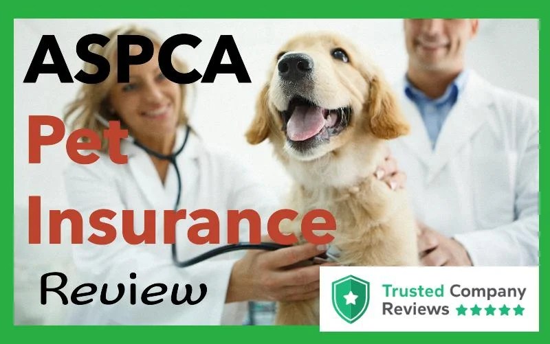ASPCA Pet Insurance Review 2025 MultiPet Discounts Available