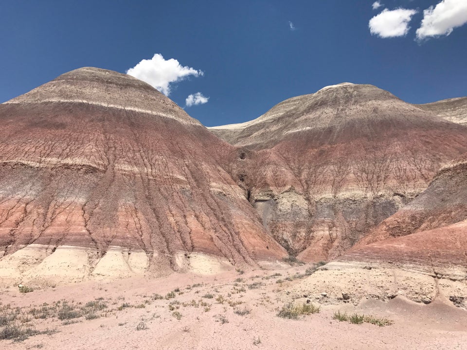 10 Acres For Sale Joseph City Arizona Near Petrified Forest