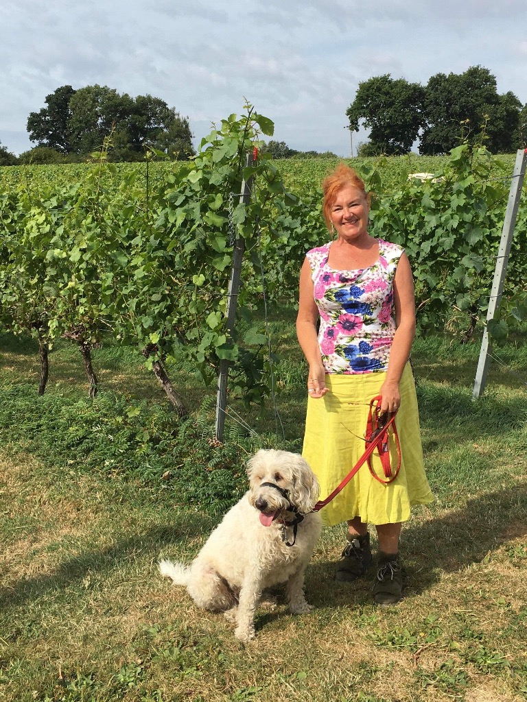 UK House Pet Sitting Service Trusted Pet Sits