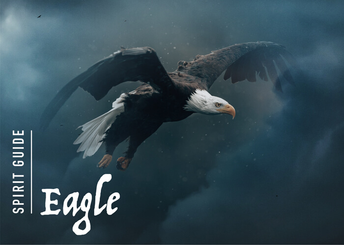 The Eagle Spirit Animal A Complete Guide to Meaning and Symbolism.