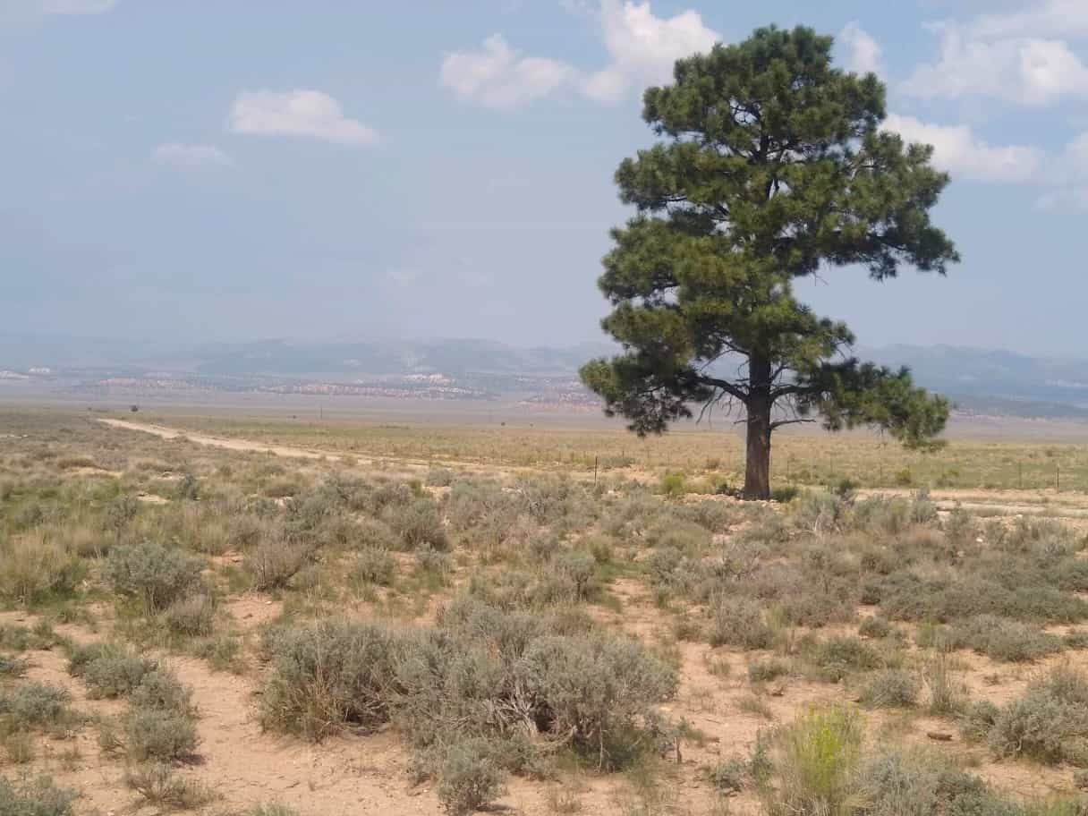 Widtsoe Townsite Lot (C27132) Trust Lands Administration