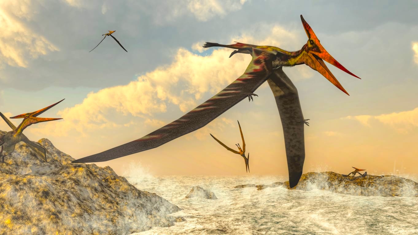 Un reptile éteint il y a des millions d’années aurait été capable de
