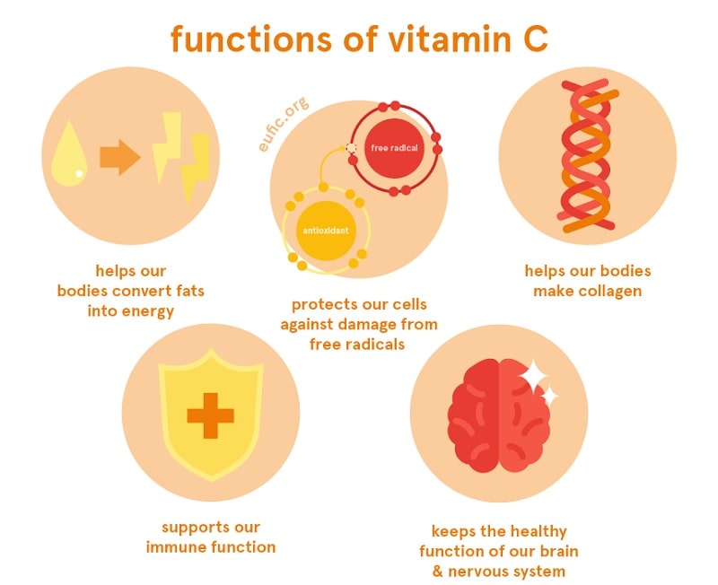 Le rôle des compléments alimentaires dans le renforcement du système