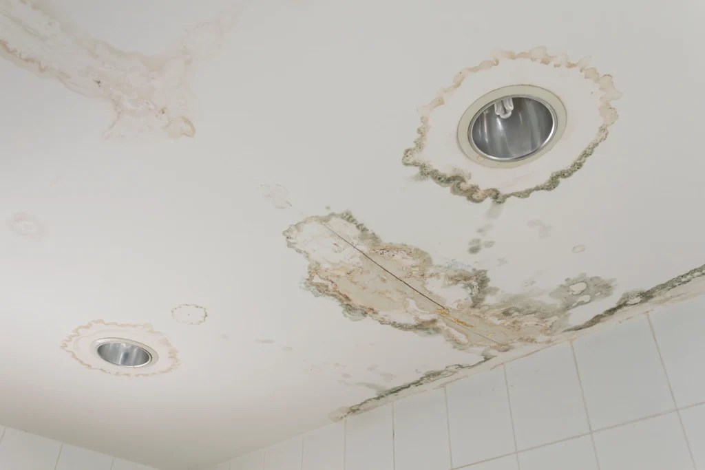 Water Leaking From Ceiling? (6 Steps To Take ASAP)