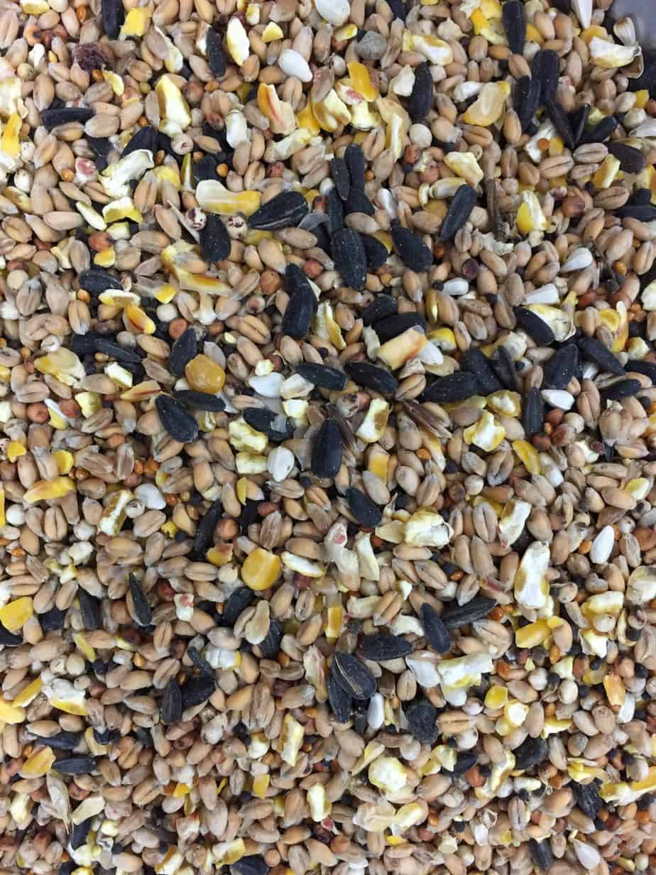 Trusty Pet Supplies Wild Bird Seed Trusty Pet Supplies