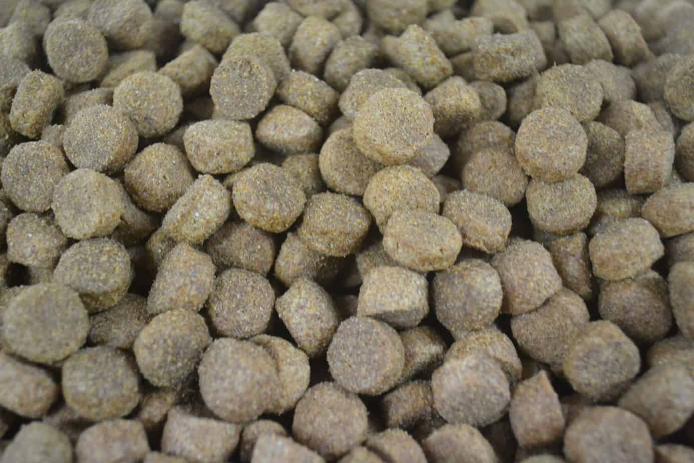 Trusty Pet Supplies Beef Trusty Pet Supplies