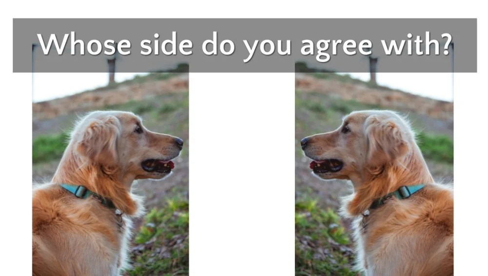 New Argument Over Evangers Pet Food Lawsuit Settlement Agreement