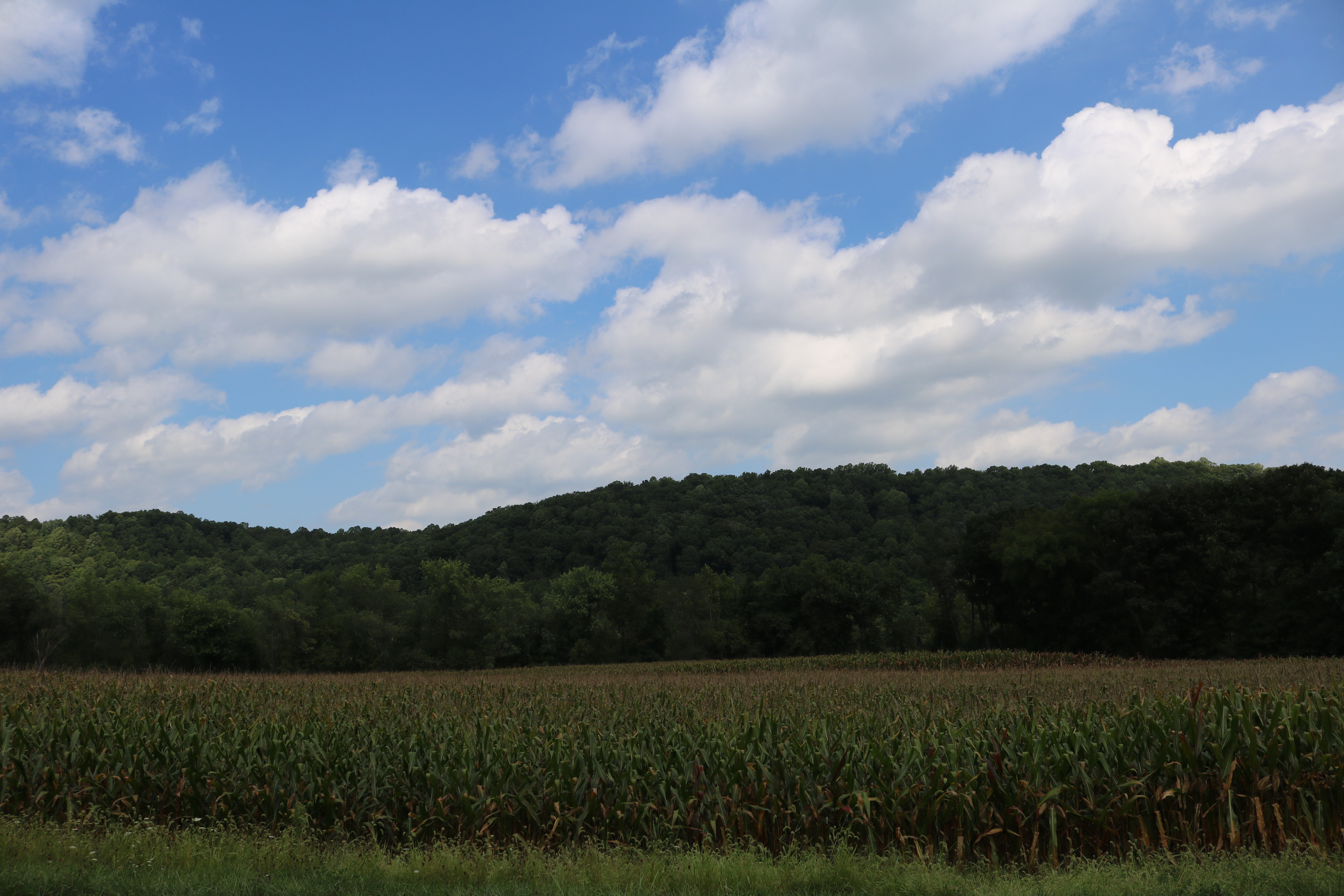 Planning An Out Of State Public Land Hunt Ohio 2016 Truth From the Stand