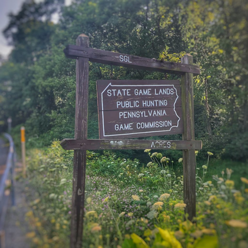 Choosing an Area to Hunt — Public Land & Sign Breakdown Truth From