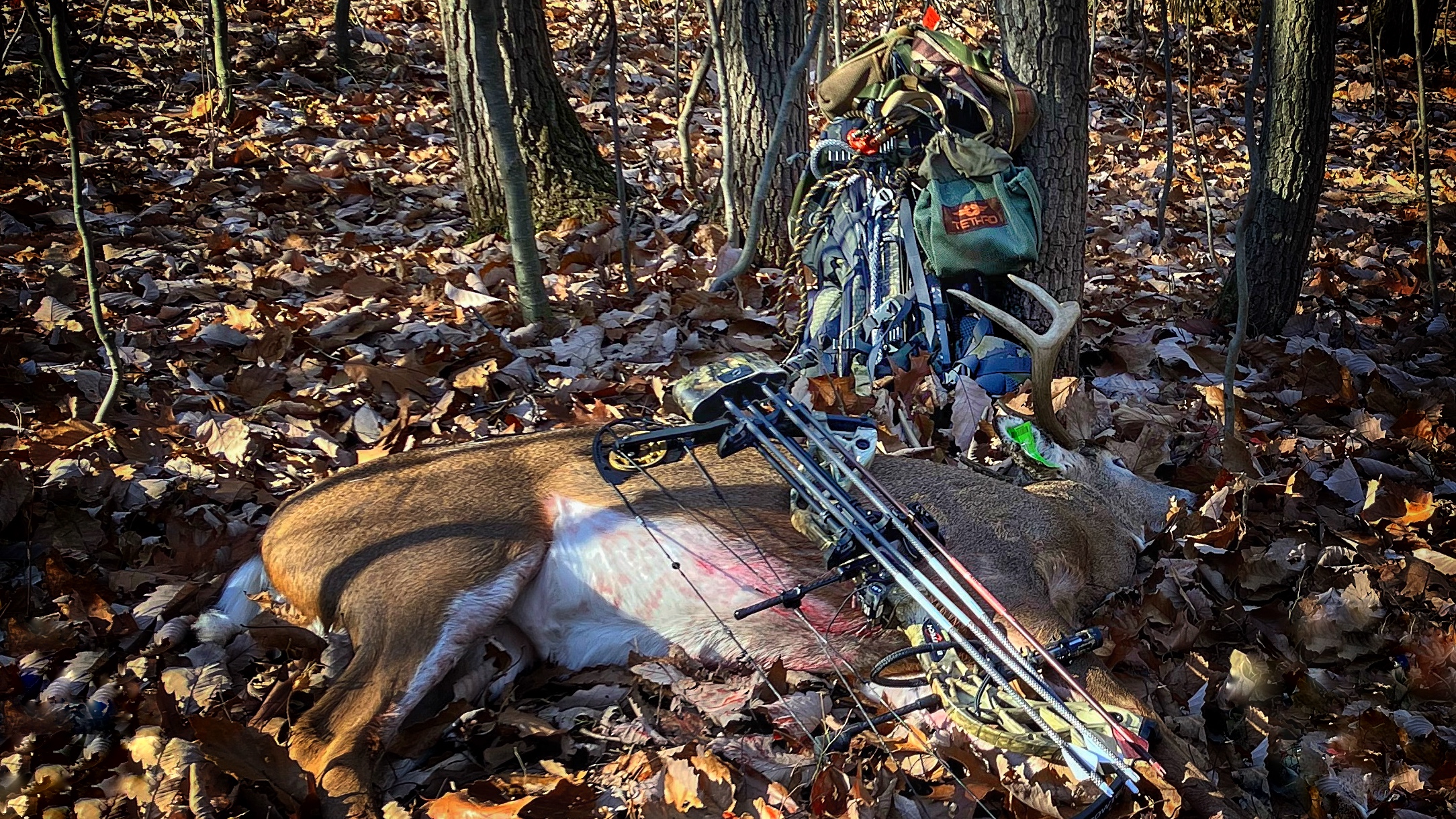 Revealed Bowhunting Secrets Do They Still Work? Truth From the Stand(02)