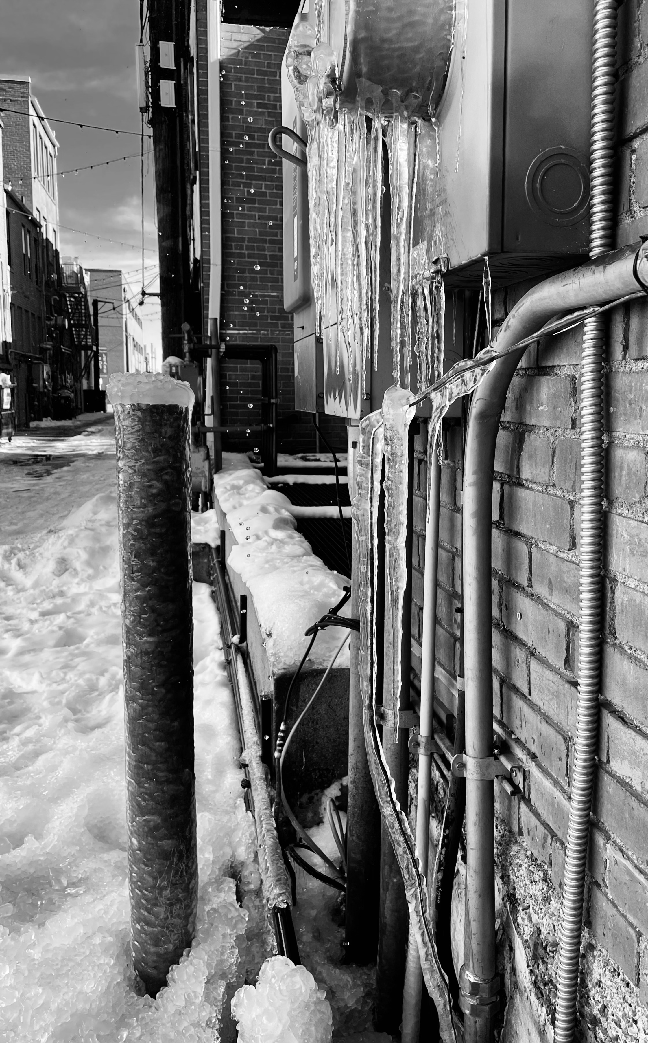 down rodeo truthfront