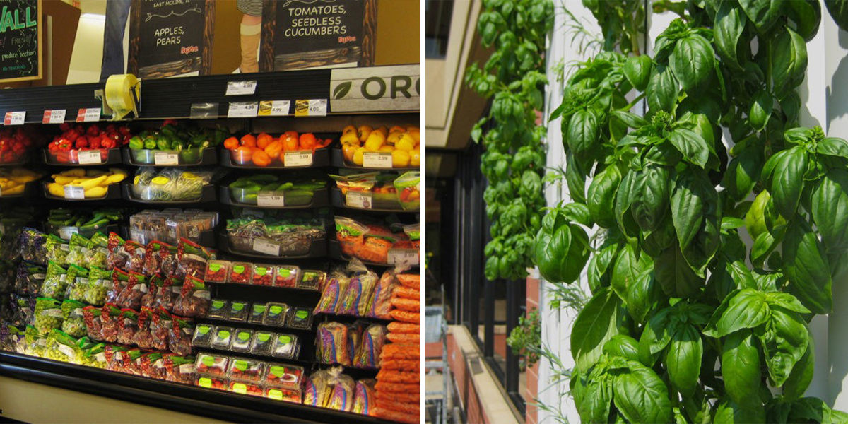 How This Iowa Grocery Store Grows 1015 Lbs Of Fresh Produce Every Week