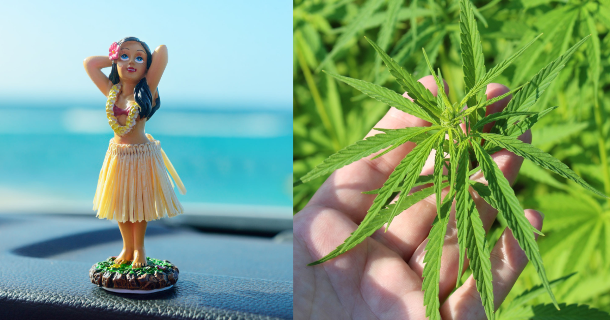 Tags Decriminalization , Hawaii , Marijuana , News