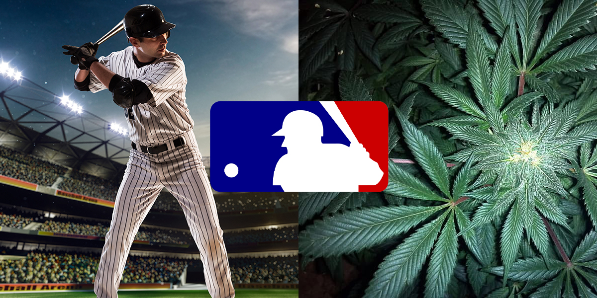 Tags baseball , Cannabis , News
