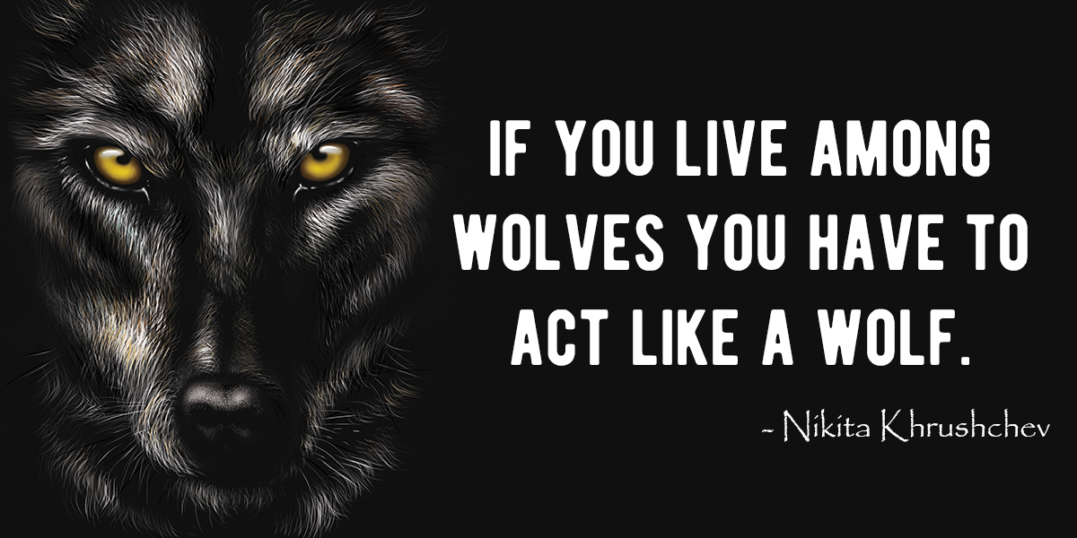 15 Wolf Quotes To Inspire You Every Day