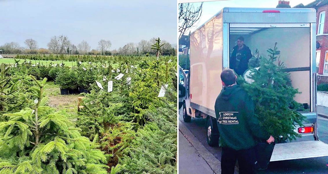 London Tree Rental Service Provides An Innovative Solution To A Christmas Problem