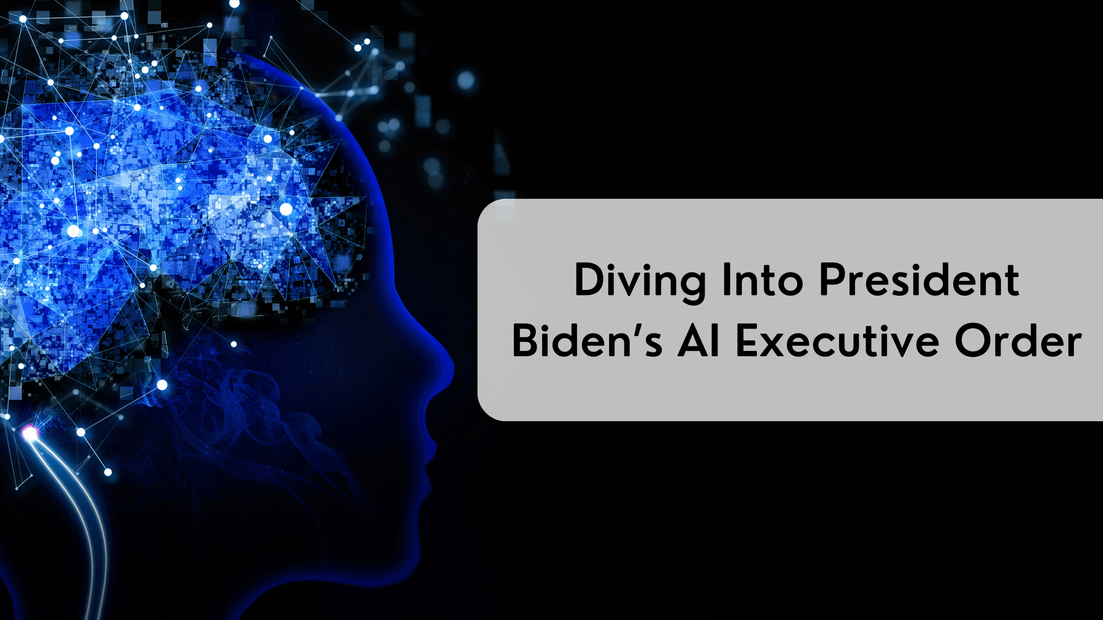 Diving Into President Biden's AI Executive Order Truyo