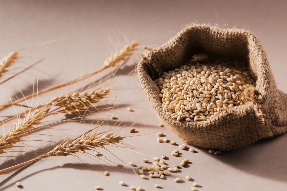 Request Quotation for Barley Wise Trade