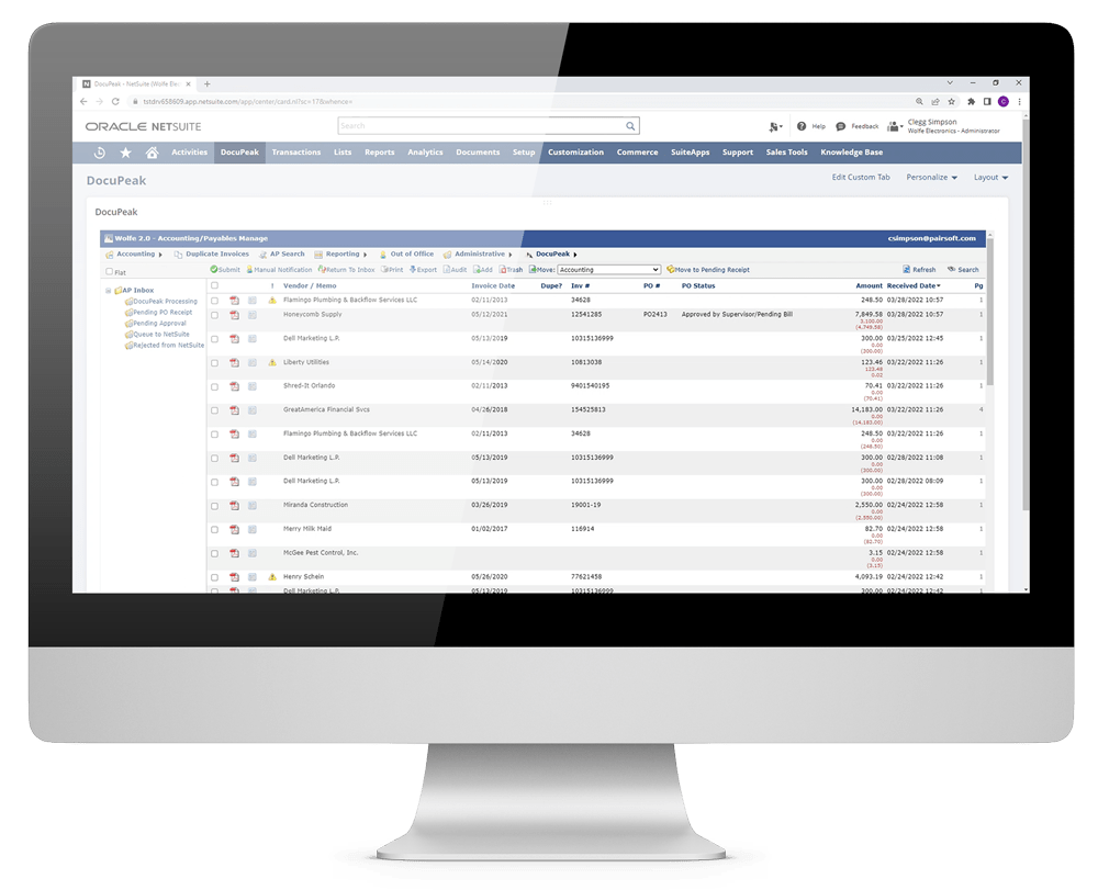 NetSuite Document Storage