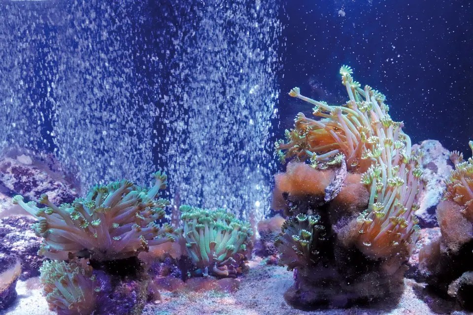 【周防大島】トライアングル水族館 なぎさ水族館に行ってみた！ 地元情報誌が山口県を深堀していくウェブマガジン