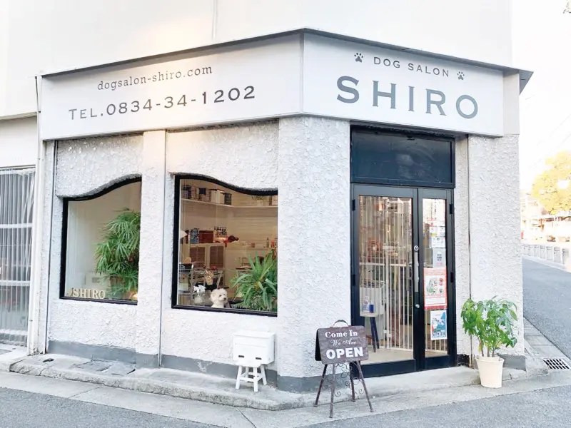 【山口県ペットニュース】ワンちゃんのための嬉しいショップ8選ー周南・下松・光 編ー 地元情報誌が山口県を深堀していくウェブマガジン