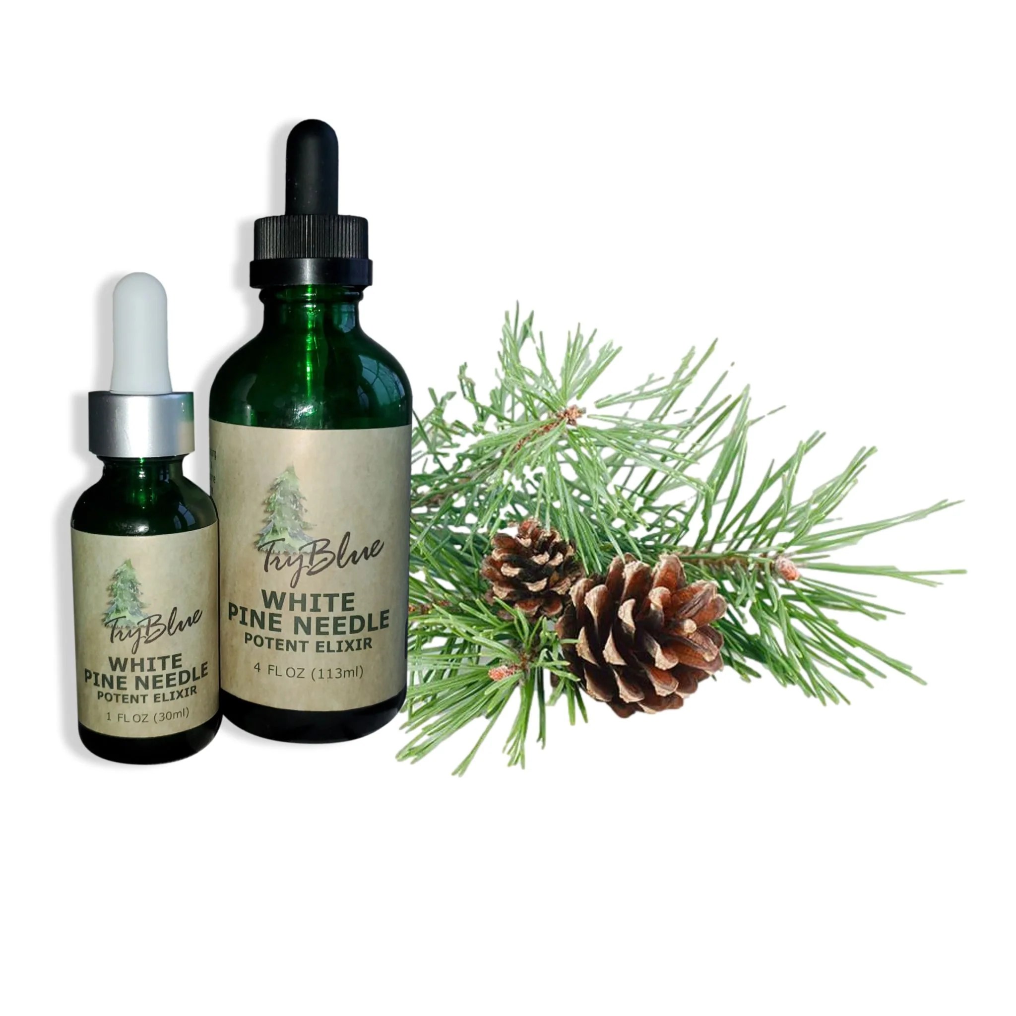 White Pine Needle Elixir TryBlue