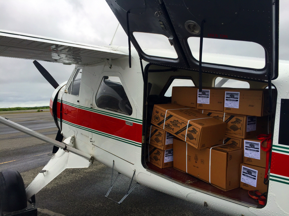 Salmon on Ice ⋆ AnchorageKing Salmon Air Taxi