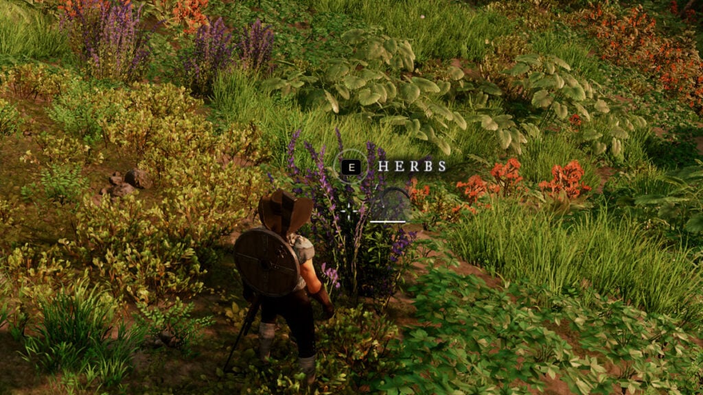 How to get Nutmeg in New World (Locations & Recipes) Try Hard Guides