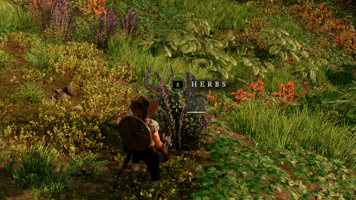 How to get Nutmeg in New World (Locations & Recipes) Try Hard Guides