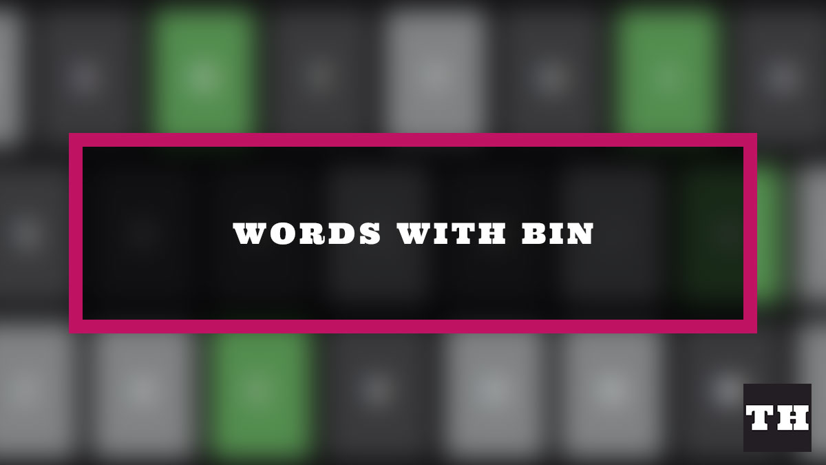 5 Letter Words Ending in BIN Wordle Clue Try Hard Guides