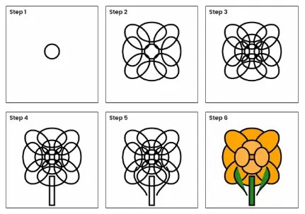 Marigold Drawing Step By Step 600x800