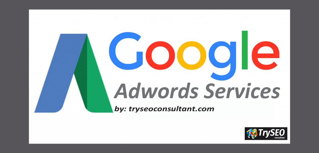 Google Advertising Services Google Ads TrySEO Advertising Agency