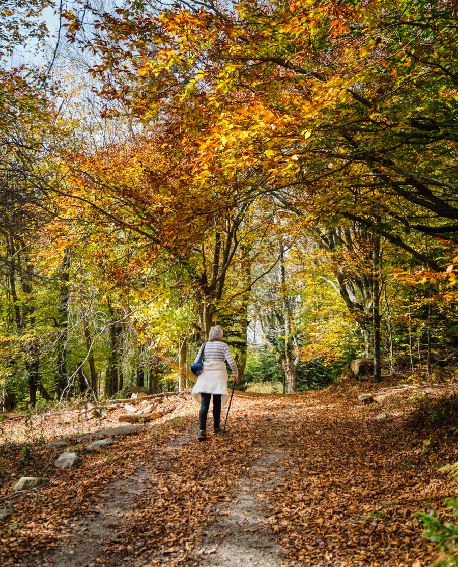 Virginia Creeper Trail A Popular Autumn Destination Try Something Fun