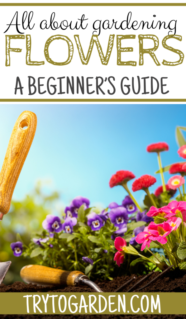 A Great Beginner’s Guide to Flower Gardening Try To Garden
