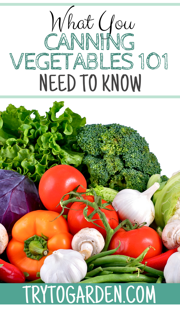 Canning Vegetables 101 What You Need To Know Try To Garden