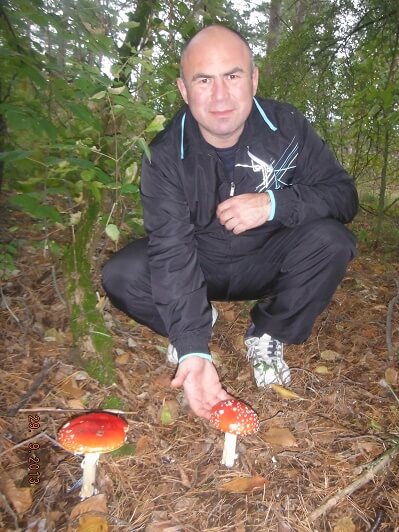 Толстеют ли от грибов маринованных. Можно ли поправиться от грибов