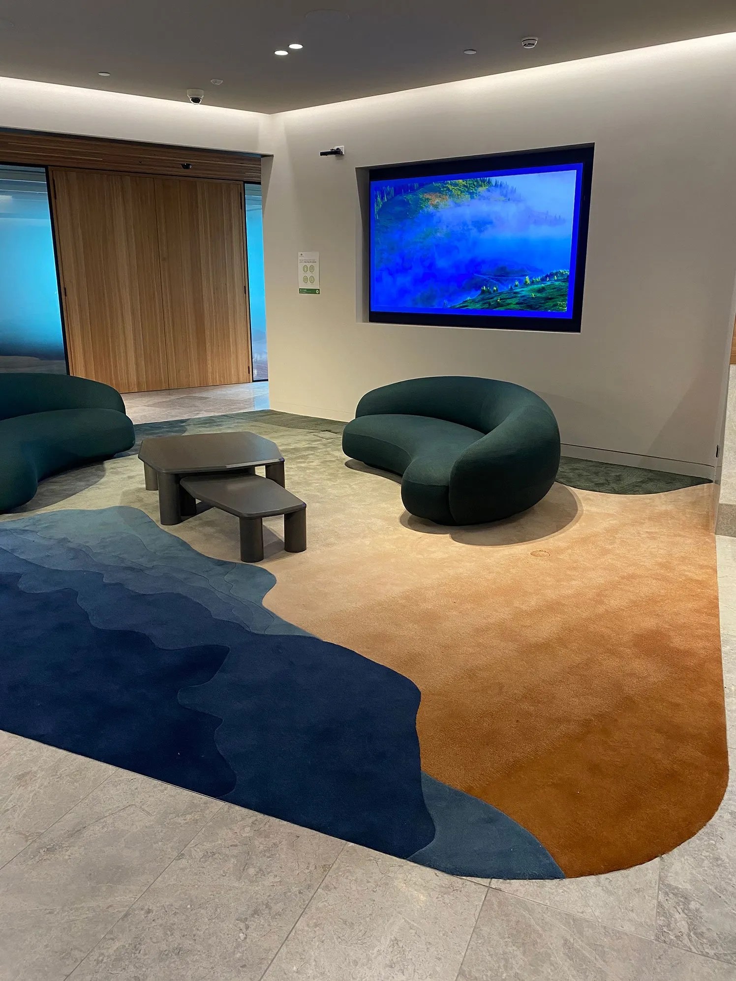 What Colour Rug Goes with a Green Couch? TSAR Carpets