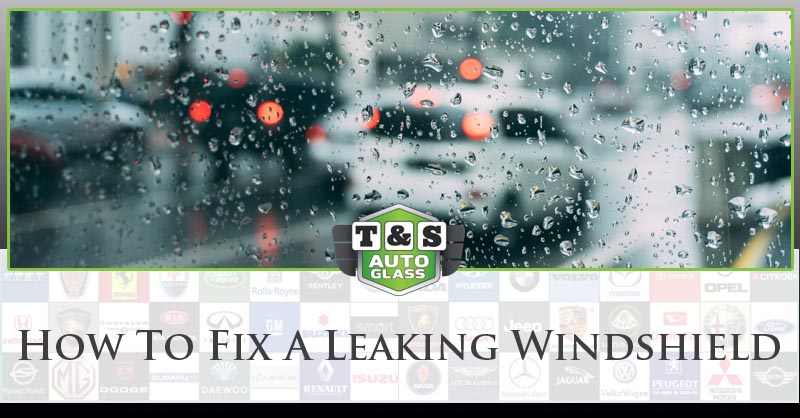 How To Fix A Leaking Windshield - T&S Auto Glass