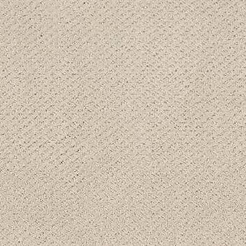 Shaw Industries MAINSTAY Washed Linen 00103 (00103_5E292)