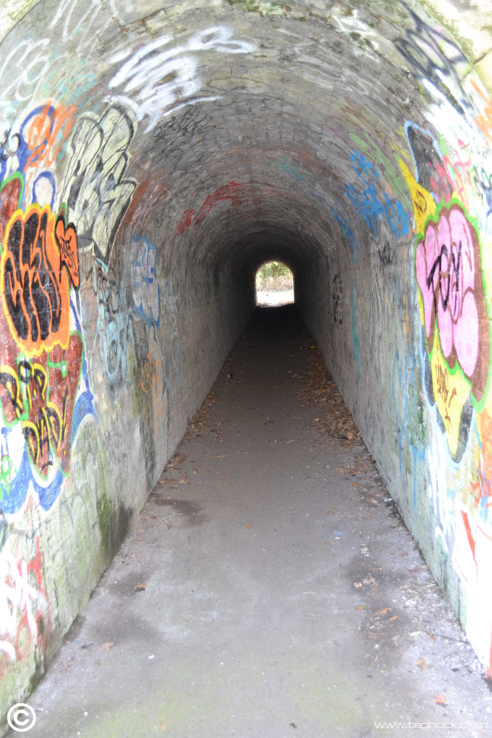 Folly Lane Tunnels tschock