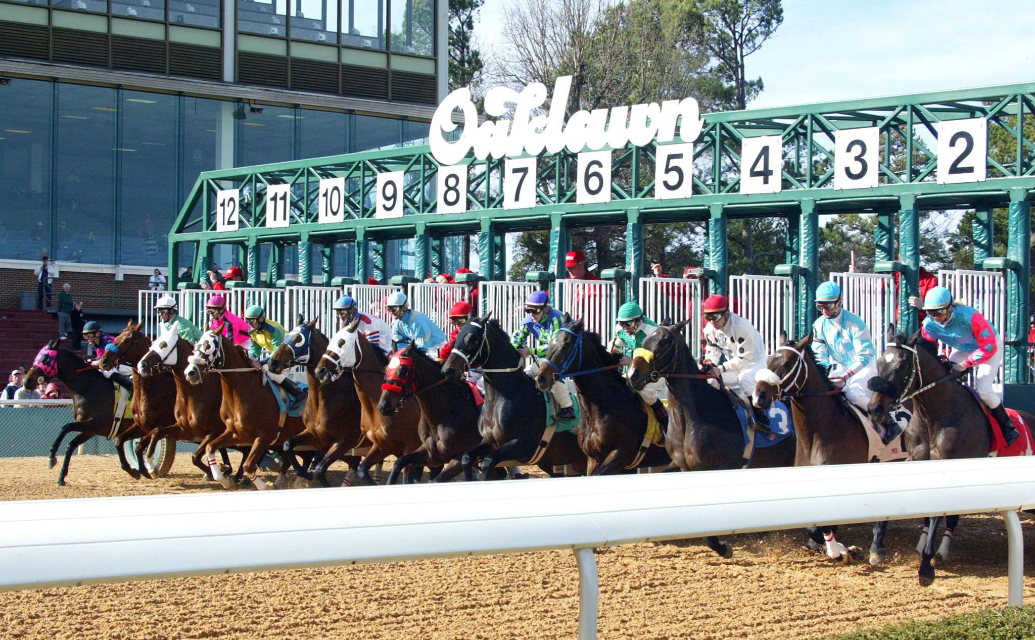 Picks for Oaklawn tournament, Tampa Super High 5 carryover TwinSpires