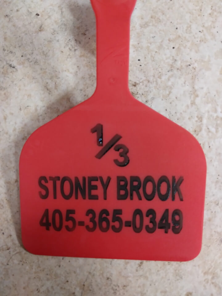 Crime Watch Steers missing near Fittstown, Oklahoma Texas and