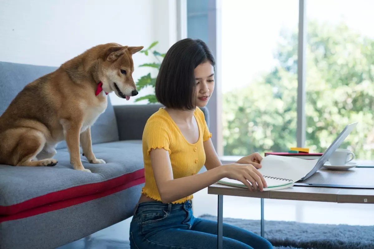 The Power of Steadfast Loyalty: How Companion Animals Enrich Our Lives